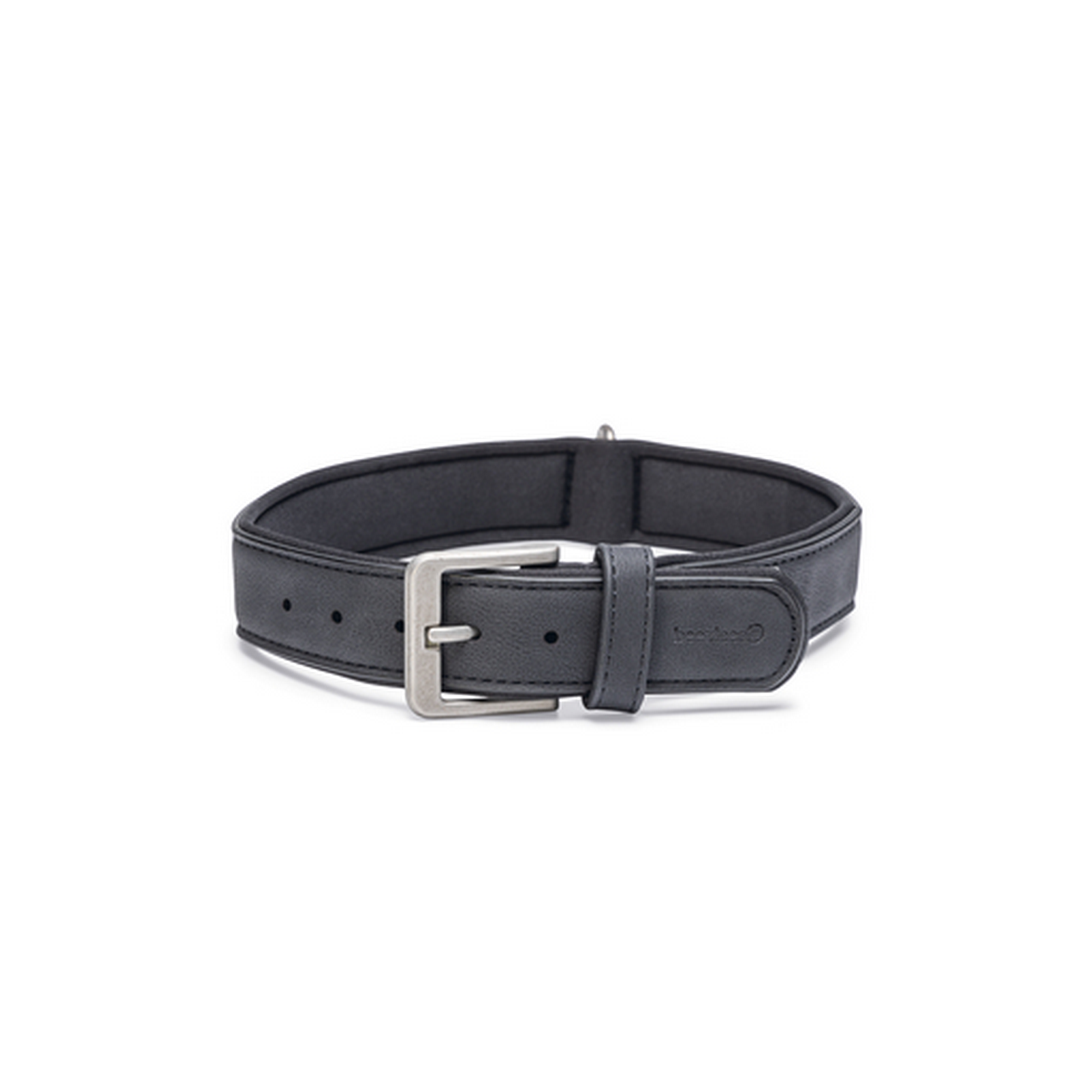 Hundehalsband 'Balacron AX' Kunstleder schwarz 47-57 x 3 cm