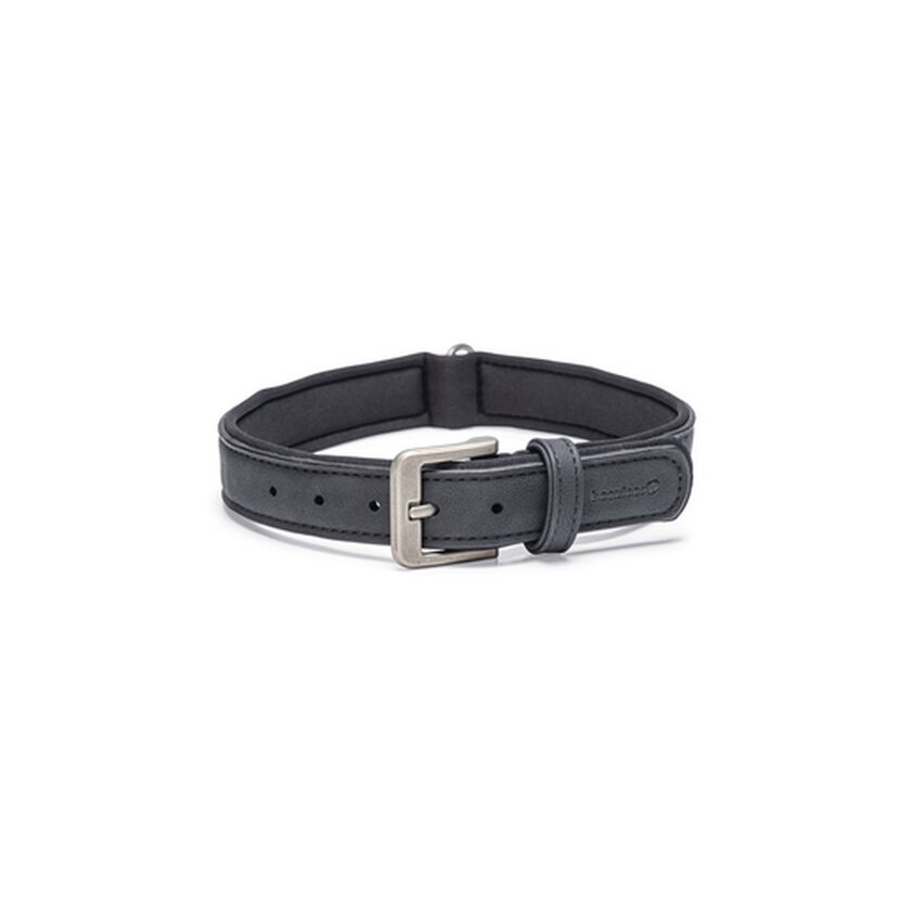 Hundehalsband 'Balacron AX' Kunstleder schwarz 43-53 x 2,5 cm