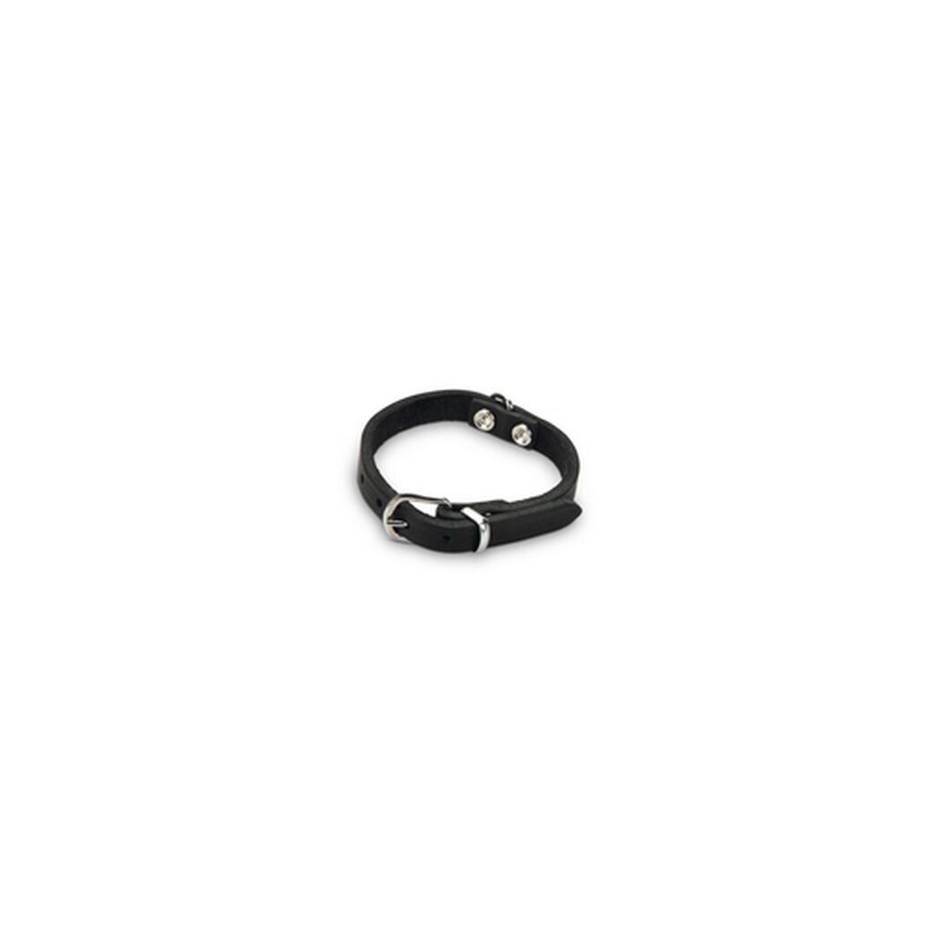 Hundehalsband Leder schwarz 27 x 1 cm