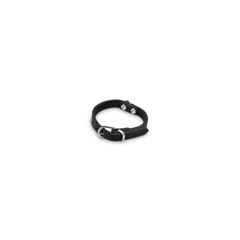 Hundehalsband Leder schwarz 27 x 1 cm