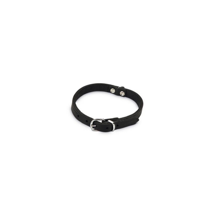 Hundehalsband Leder schwarz 37 x 1,2 cm