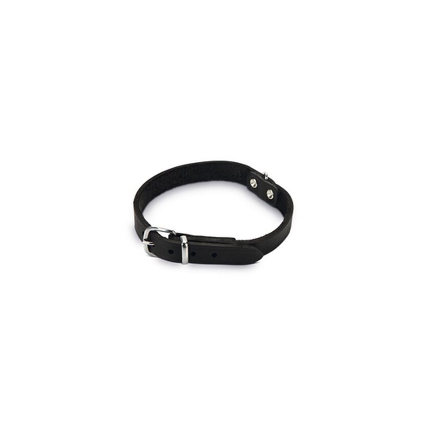 Hundehalsband Leder schwarz 42 x 1,6 cm