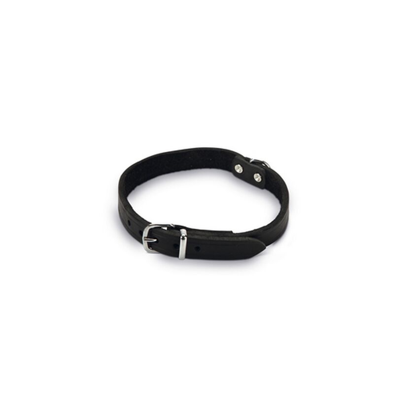 Hundehalsband Leder schwarz 47 x 1,8 cm