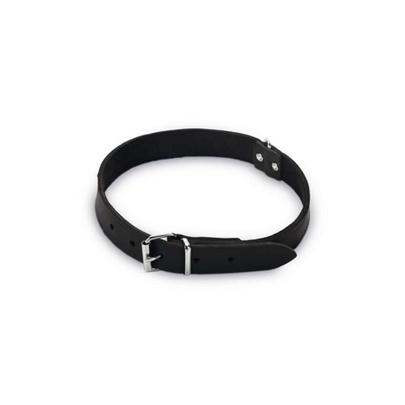 Hundehalsband Leder schwarz 62 x 2,5 cm