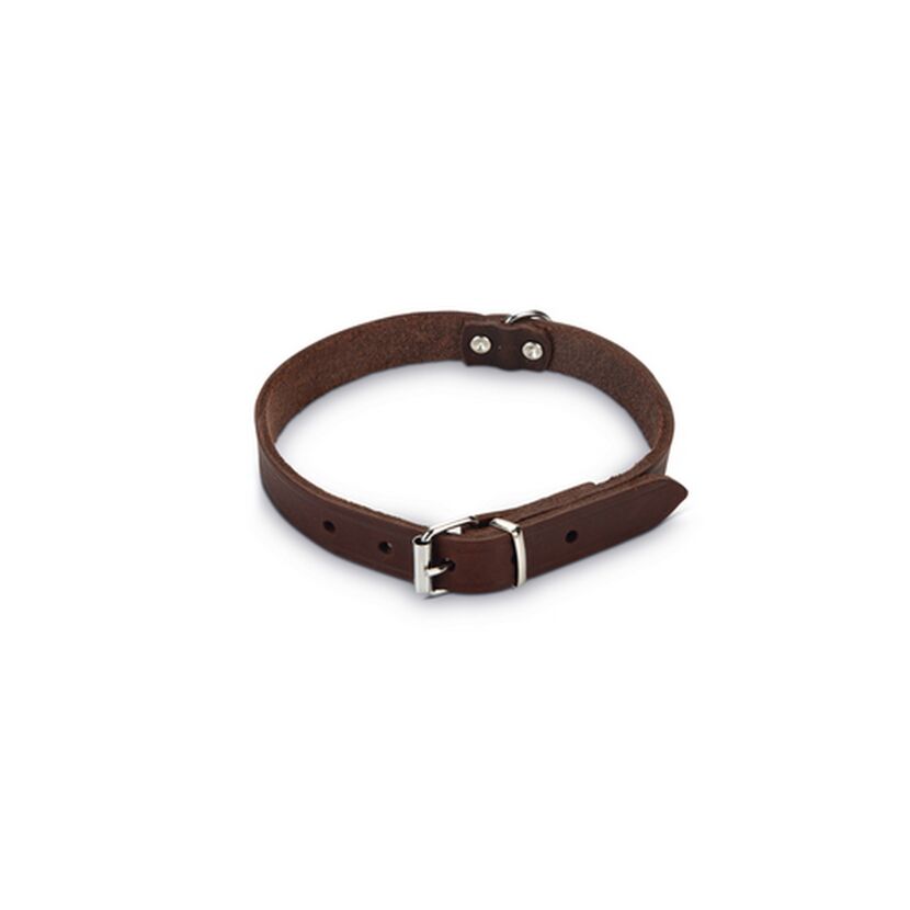 Hundehalsband Leder braun 52 x 2 cm
