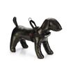 hauptbild
