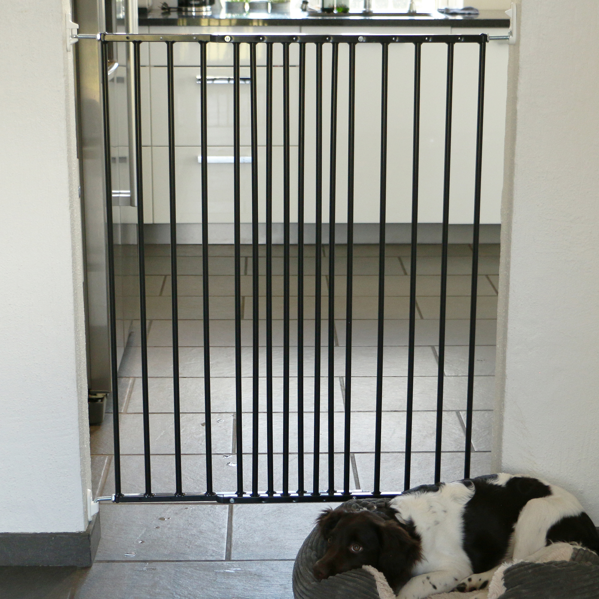 Tierschutzgitter anthrazit 62,5 - 106,8 cm