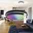 LED-Deckenleuchte 'Kea' Ø 42 cm rund