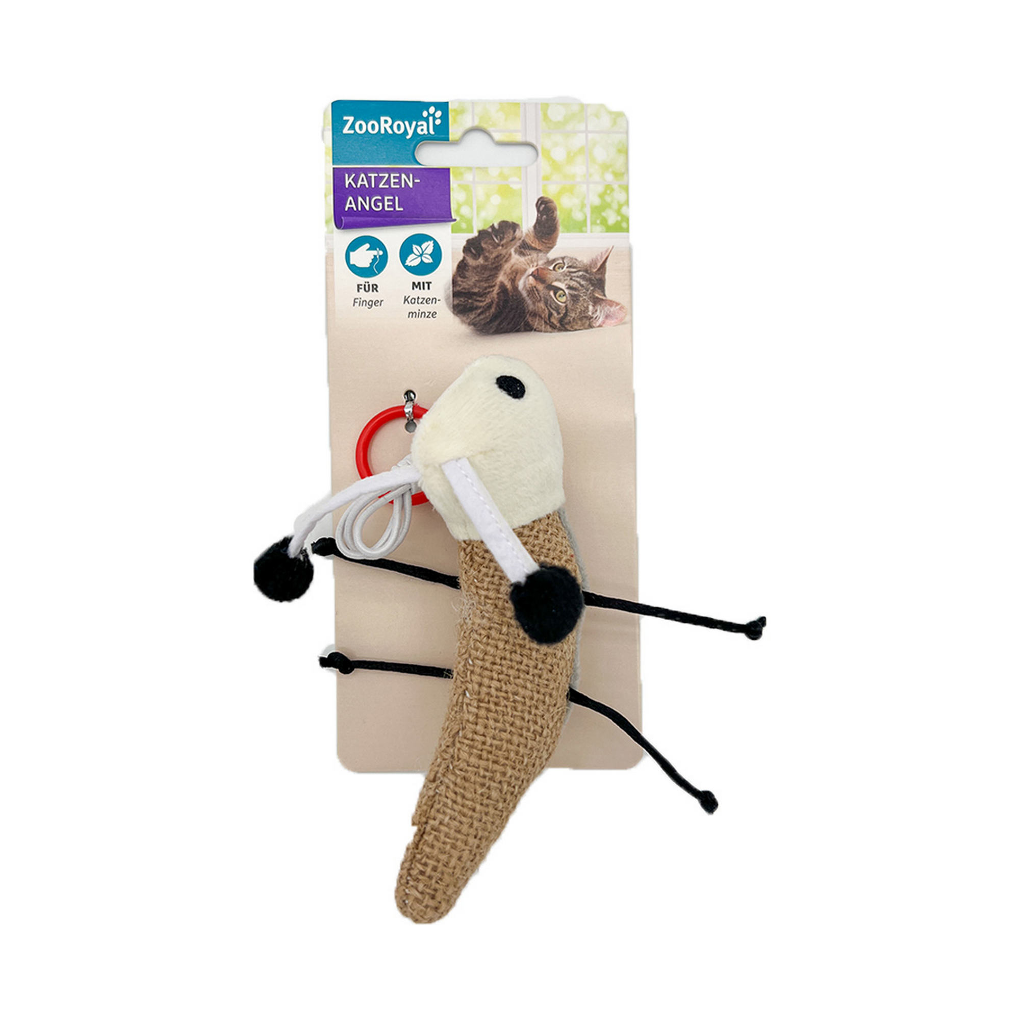 Katzenspielzeug Fingerangel Käfer