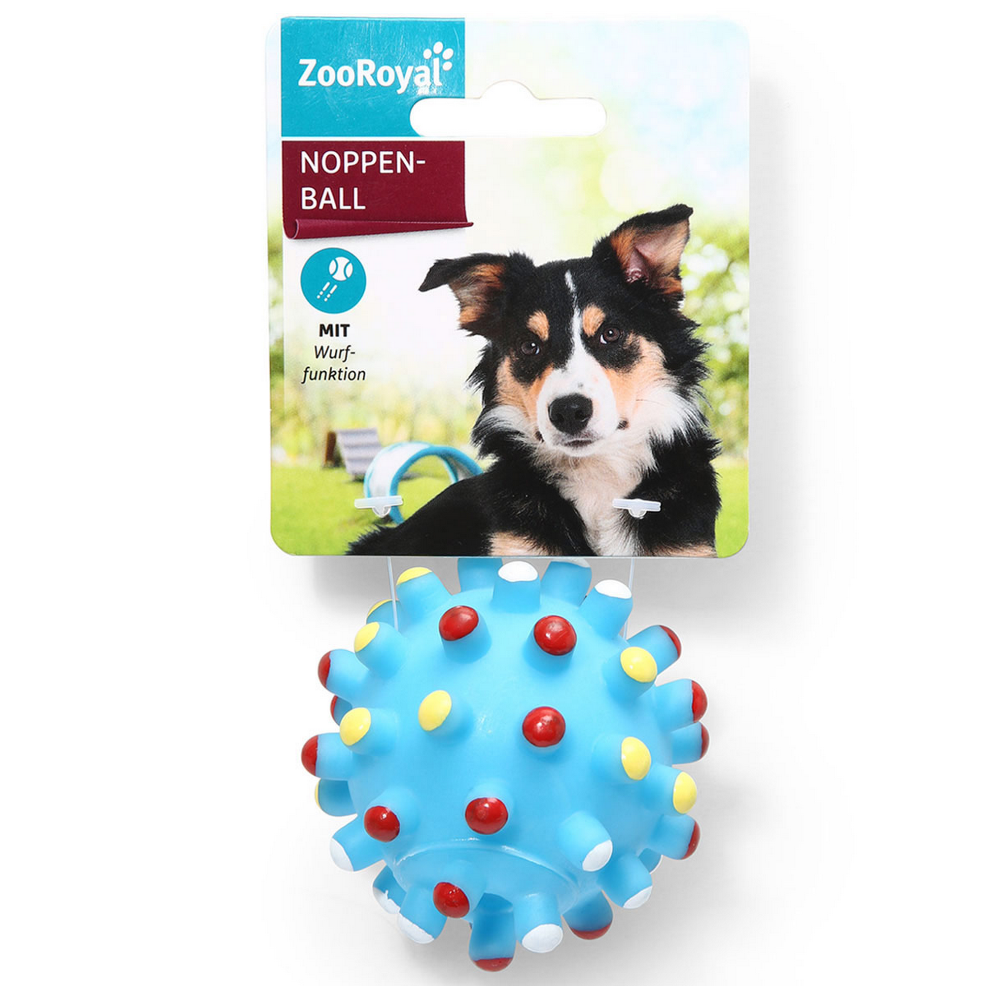 Hundespielzeug Noppenball