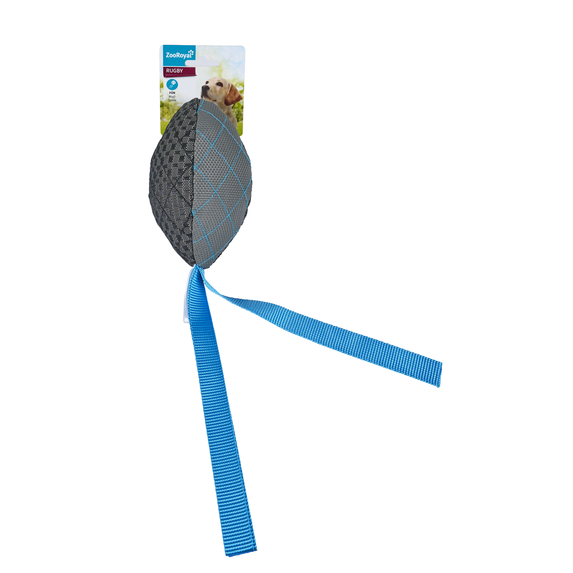 hauptbild