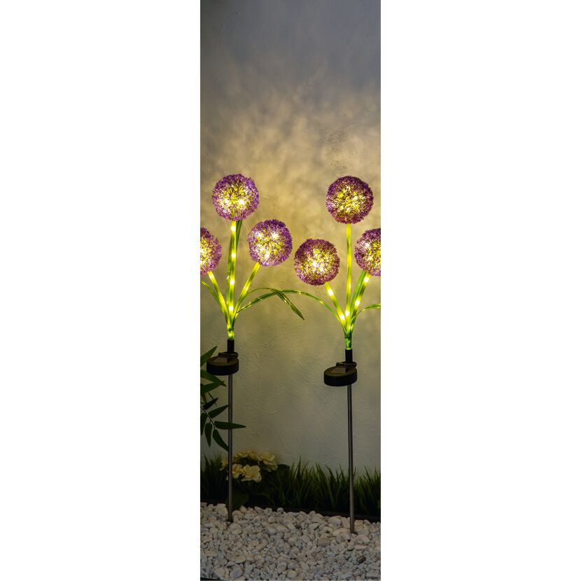 Solar Dekolicht 'Allium' lila/grün 9 x 74 cm