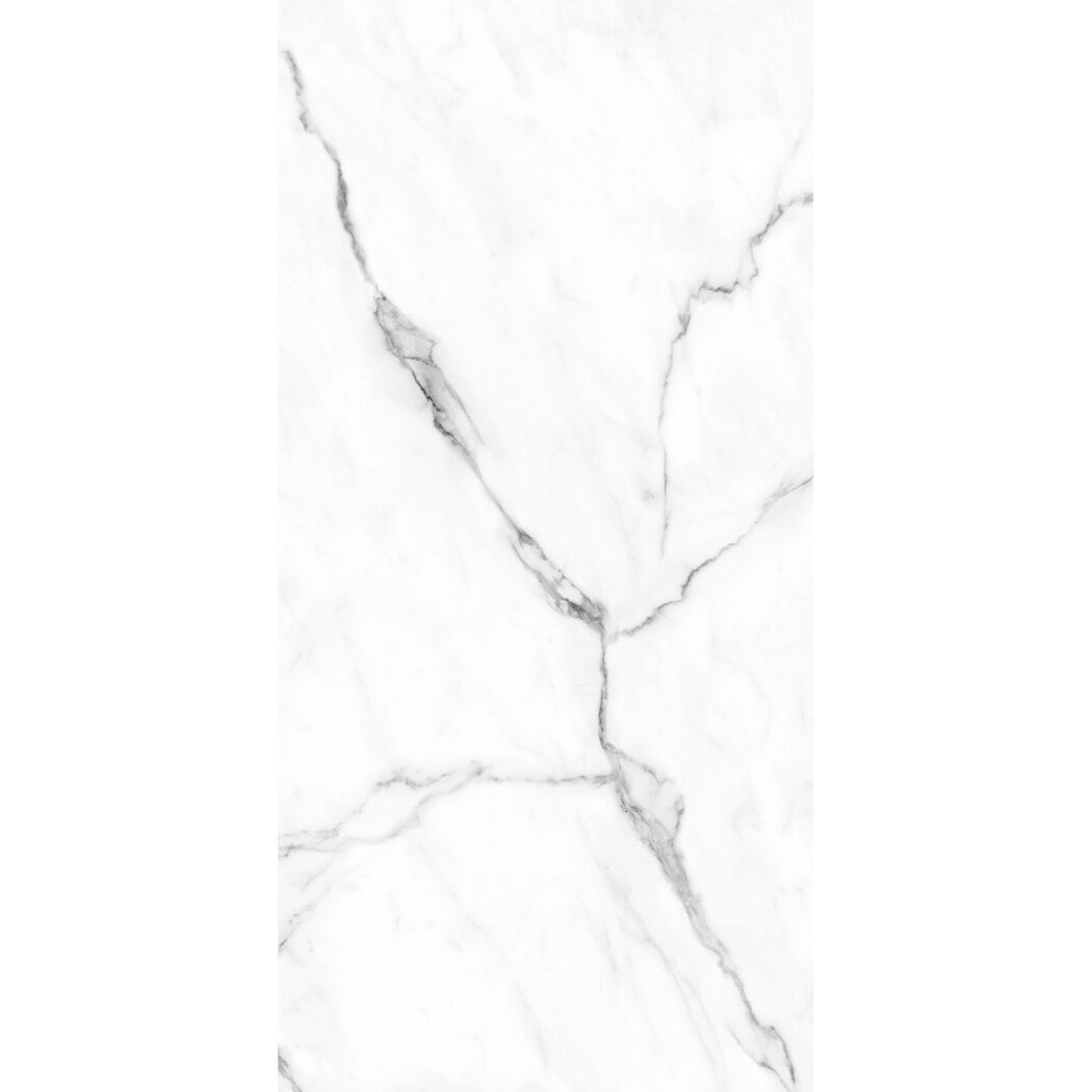 Duschrückwand 'DecoDesign' weiß 125 x 255 cm