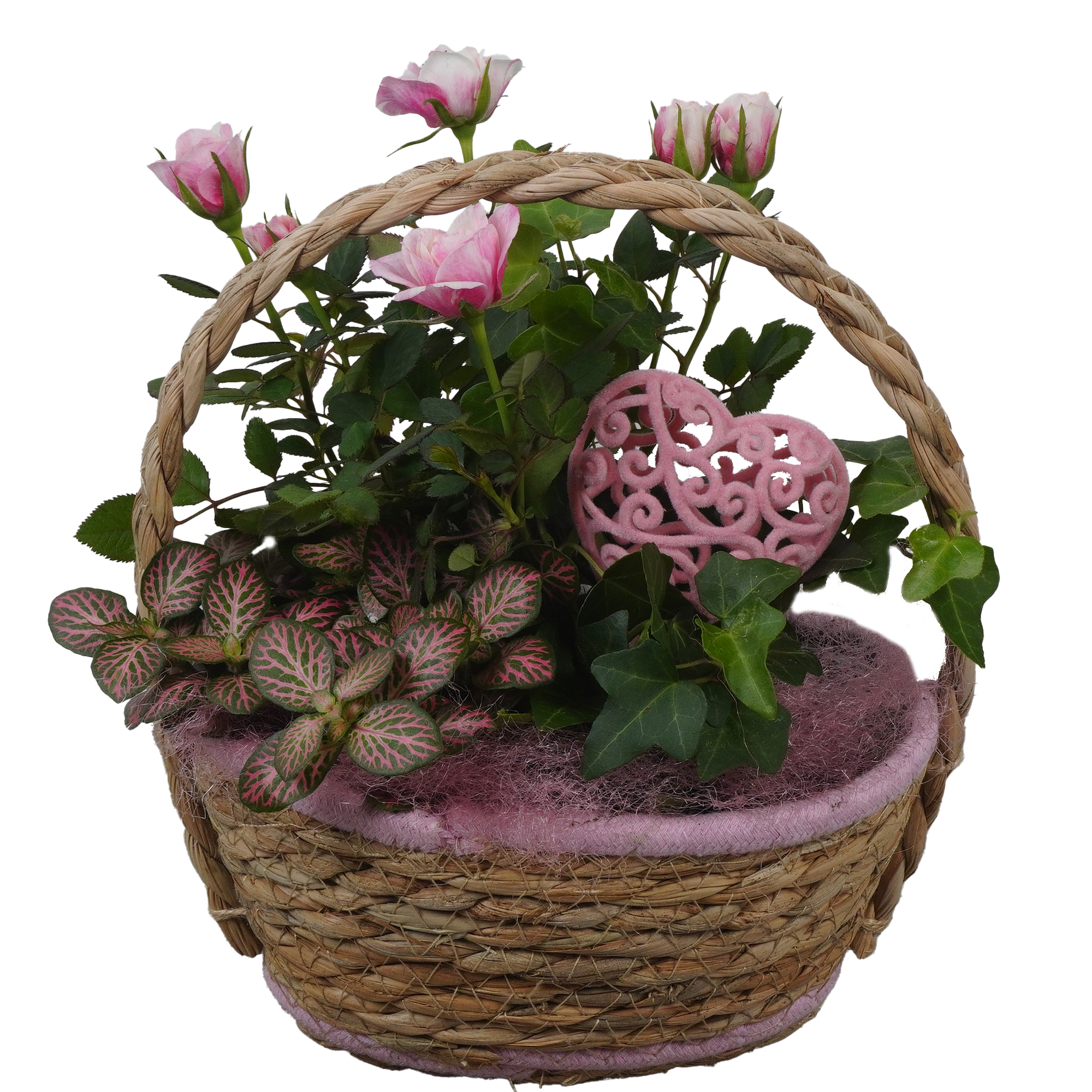 Seegraskorb bepflanzt 20 cm