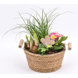 Seegrasgefäß bepflanzt Ø 21 cm