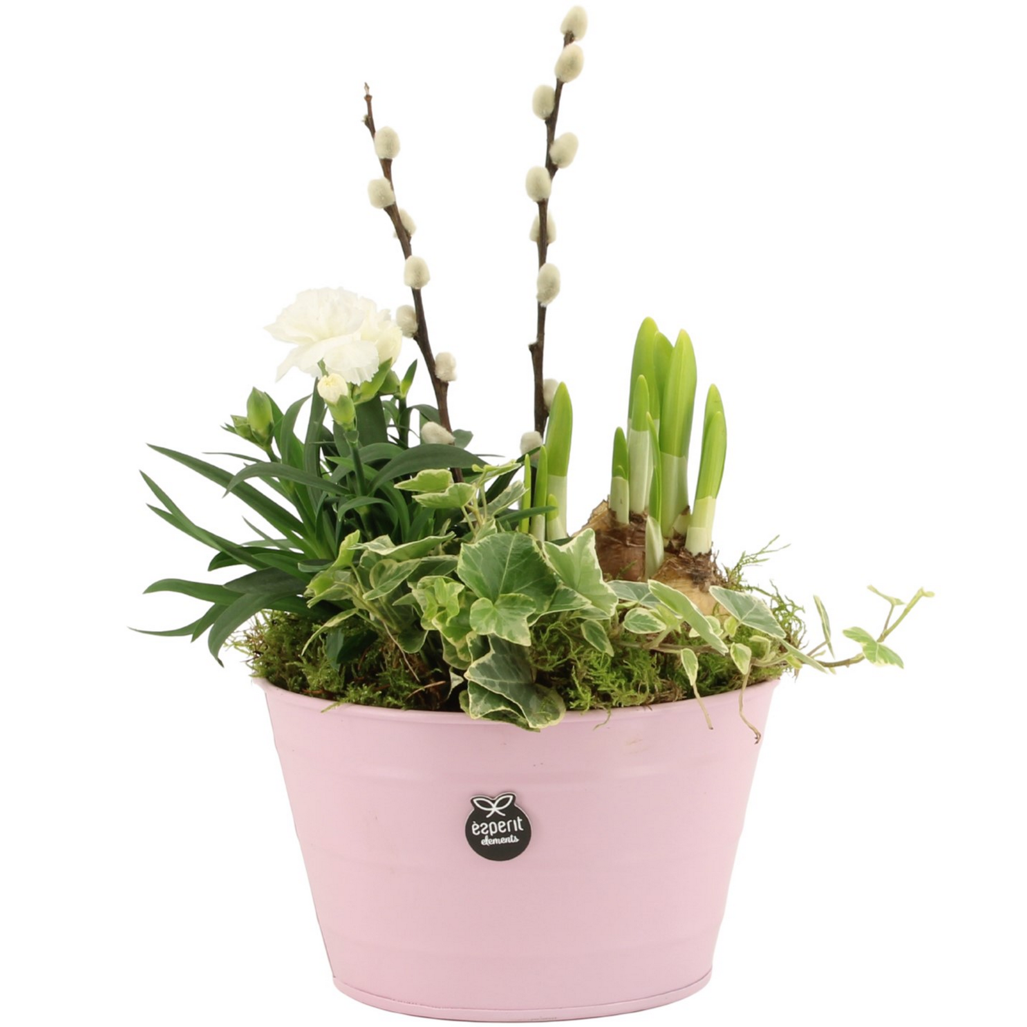 Zinkschale bunt bepflanzt 17 cm