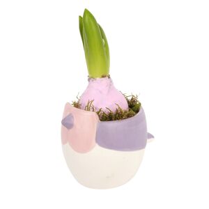 Hyazinthe gewachst in Vogelkeramik 9 cm Topf
