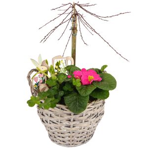 Korb bepflanzt 21 cm