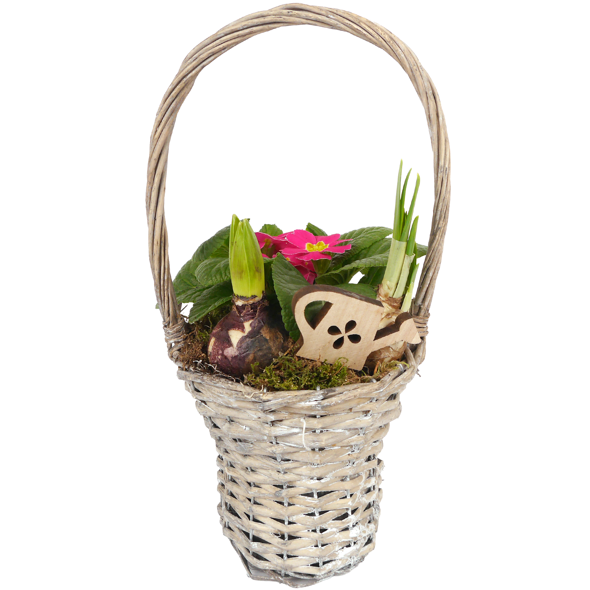 Henkelkorb bepflanzt 17 cm
