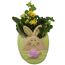 Keramikhase bepflanzt Indoor 12 cm Topf