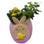 Keramikhase bepflanzt Indoor 12 cm Topf