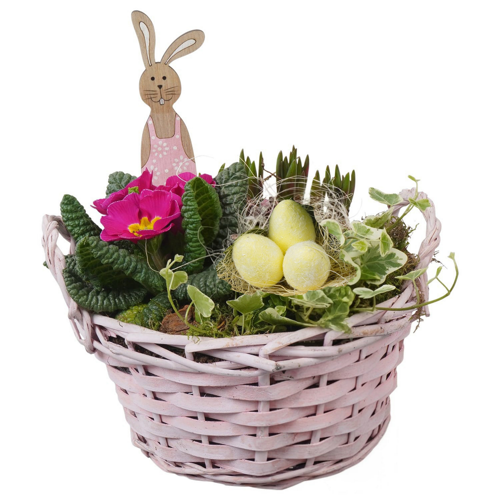 Korb bepflanzt Ø 20 cm