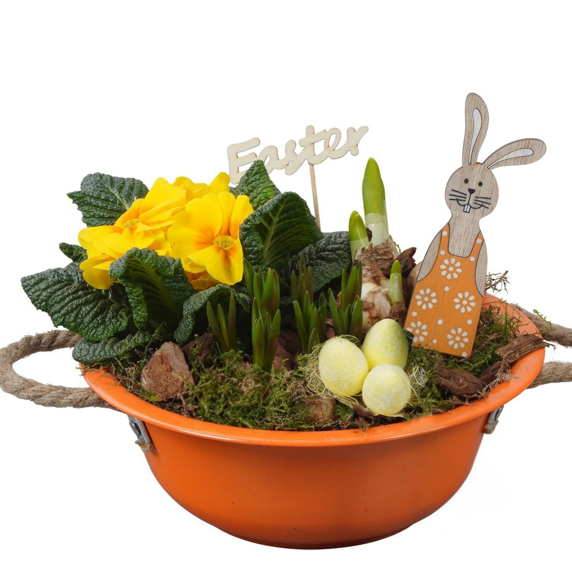 Zinkschale bepflanzt Ø 24 cm