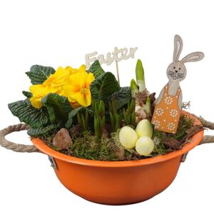 Zinkschale bepflanzt Ø 24 cm