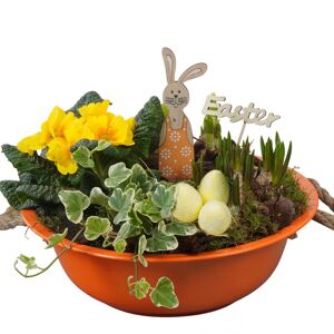 Zinkschale bepflanzt Ø 29 cm