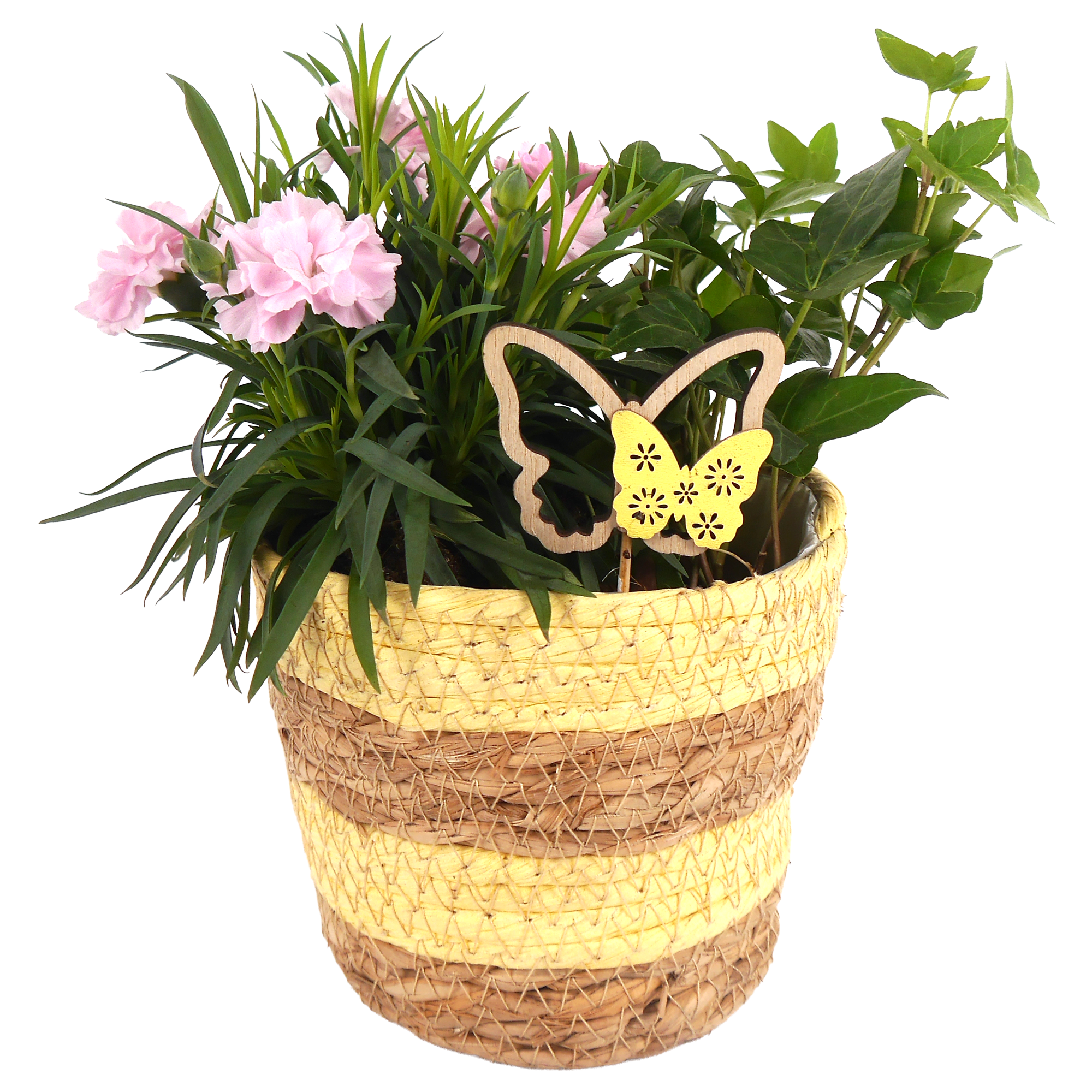 Korb bepflanzt 13 cm