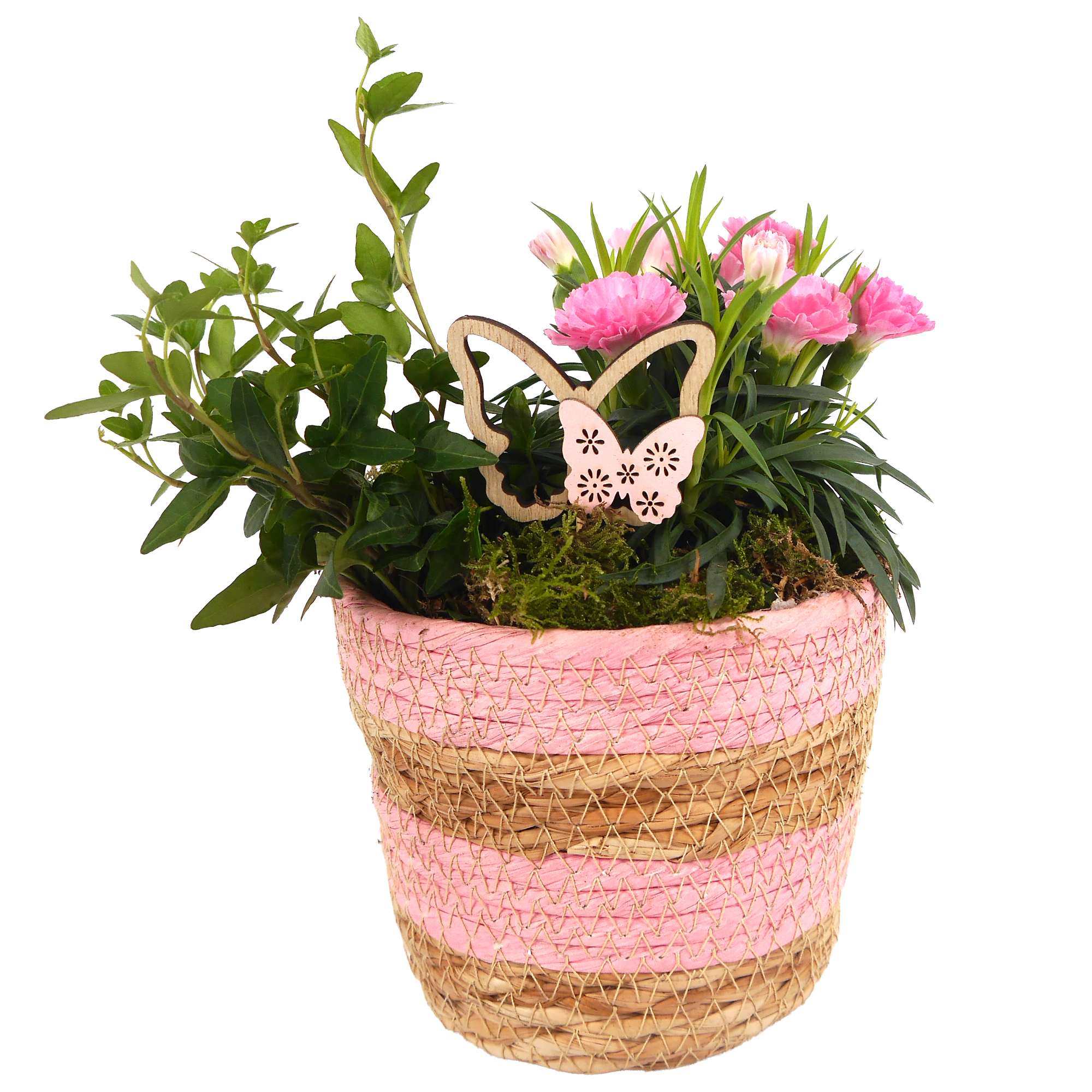 Korb bepflanzt 13 cm
