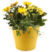 hauptbild