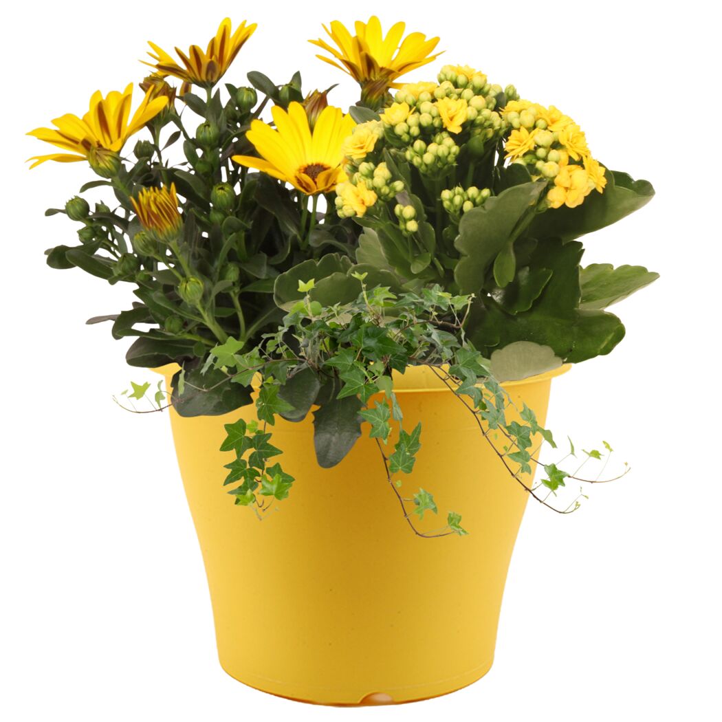Bunter Sommertopf 19 cm Topf