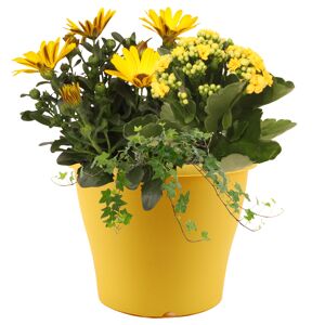 Bunter Sommertopf 19 cm Topf