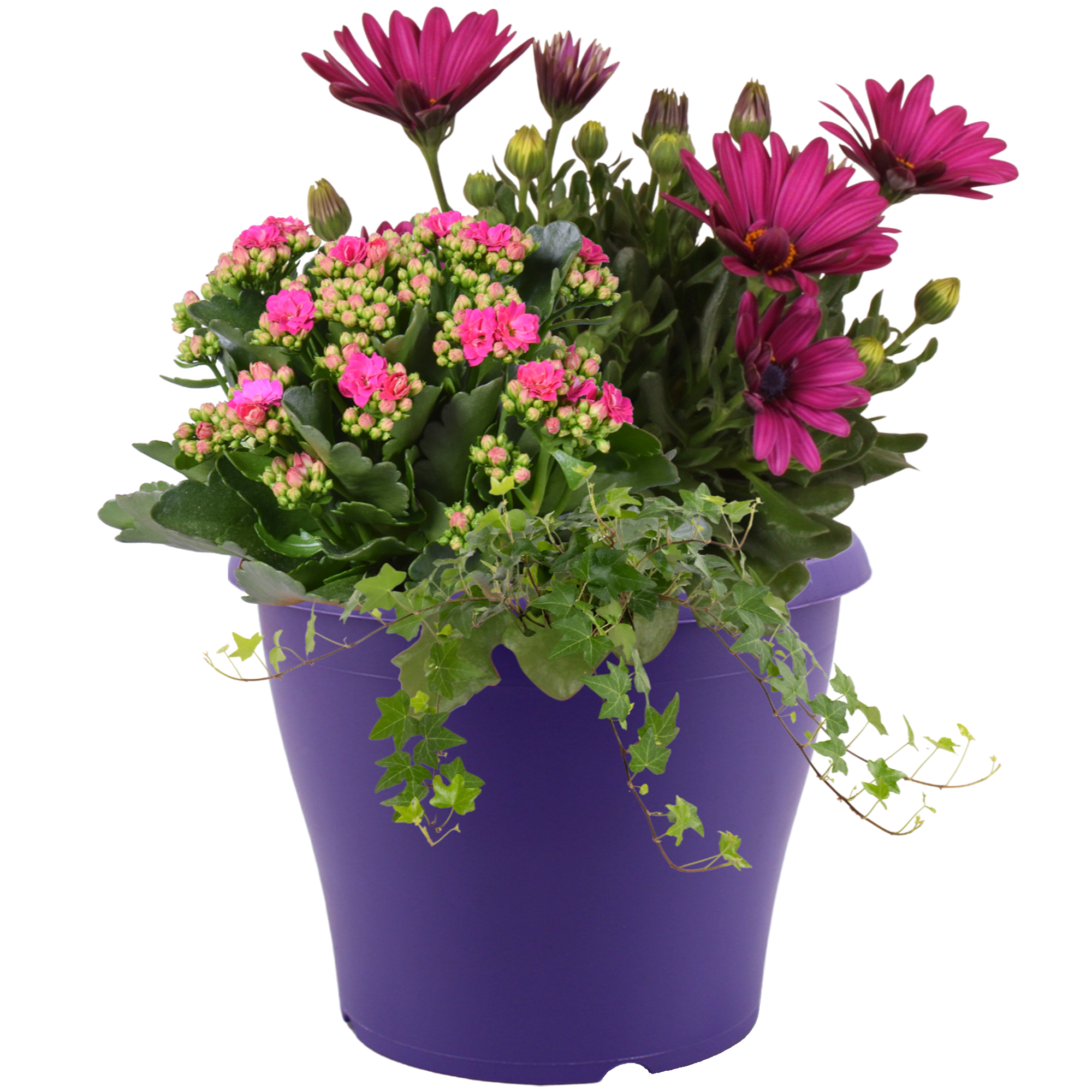 Bunter Sommertopf 19 cm Topf