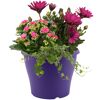 Bunter Sommertopf 19 cm Topf