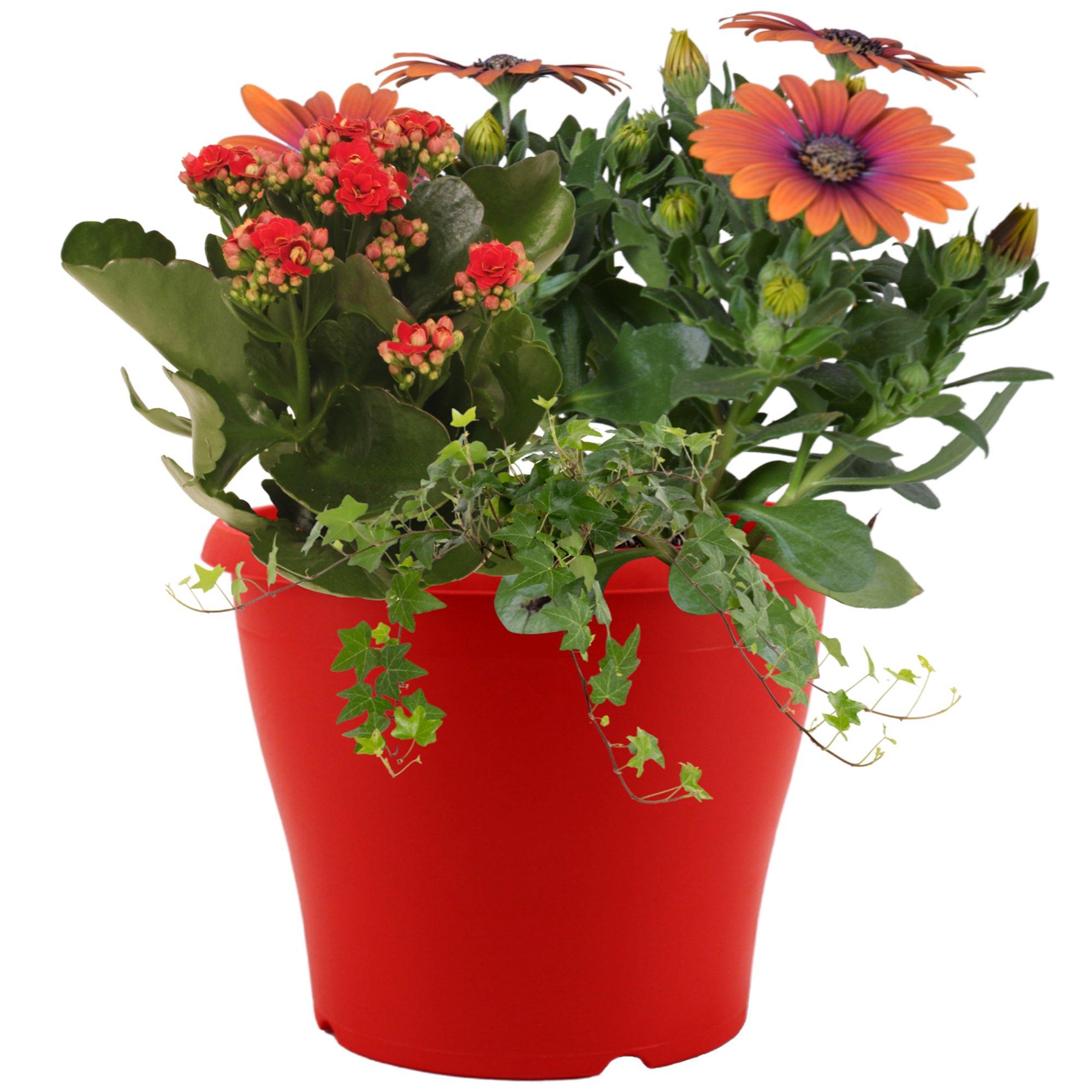 Bunter Sommertopf 19 cm Topf