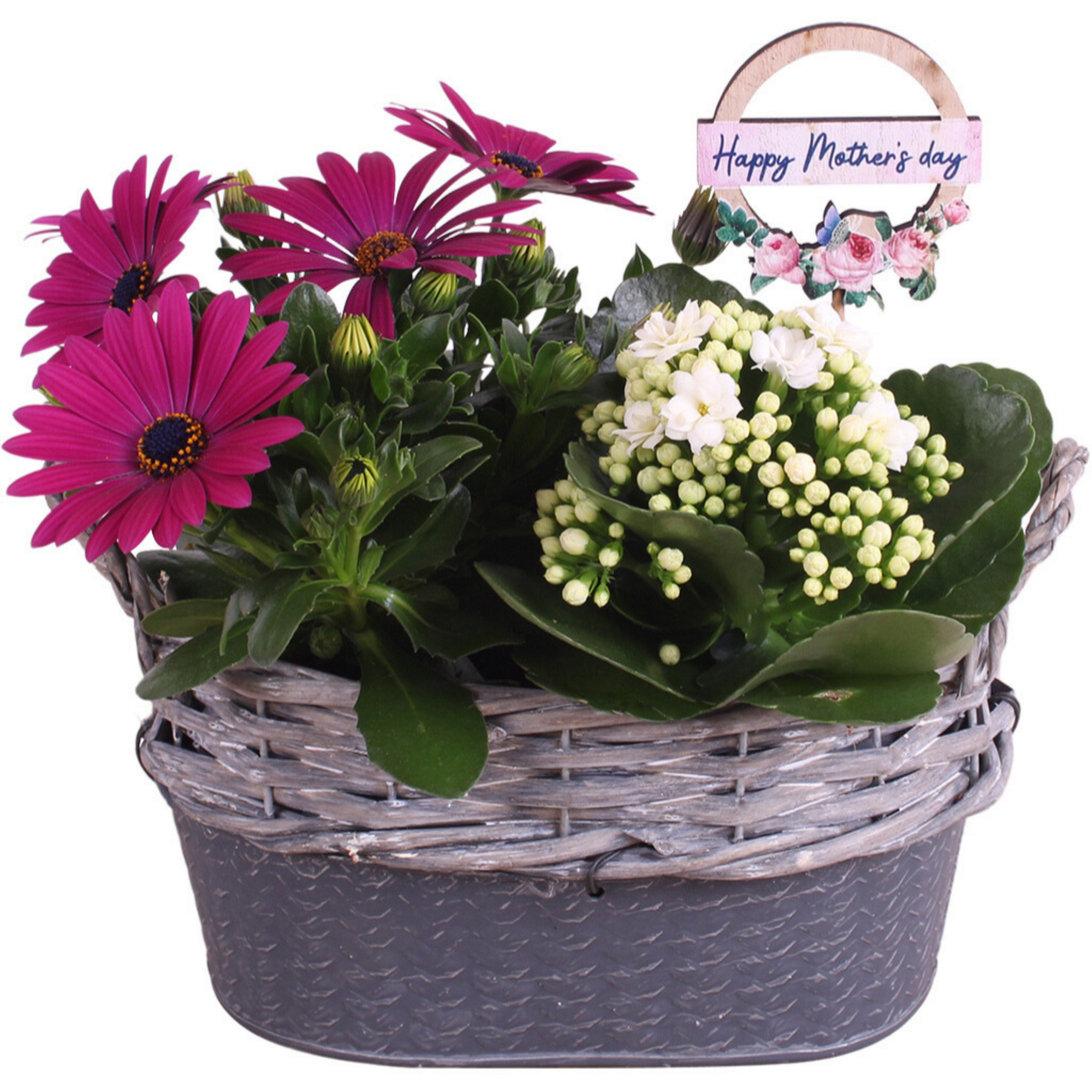 Zink-Jardiniere bepflanzt 21 cm