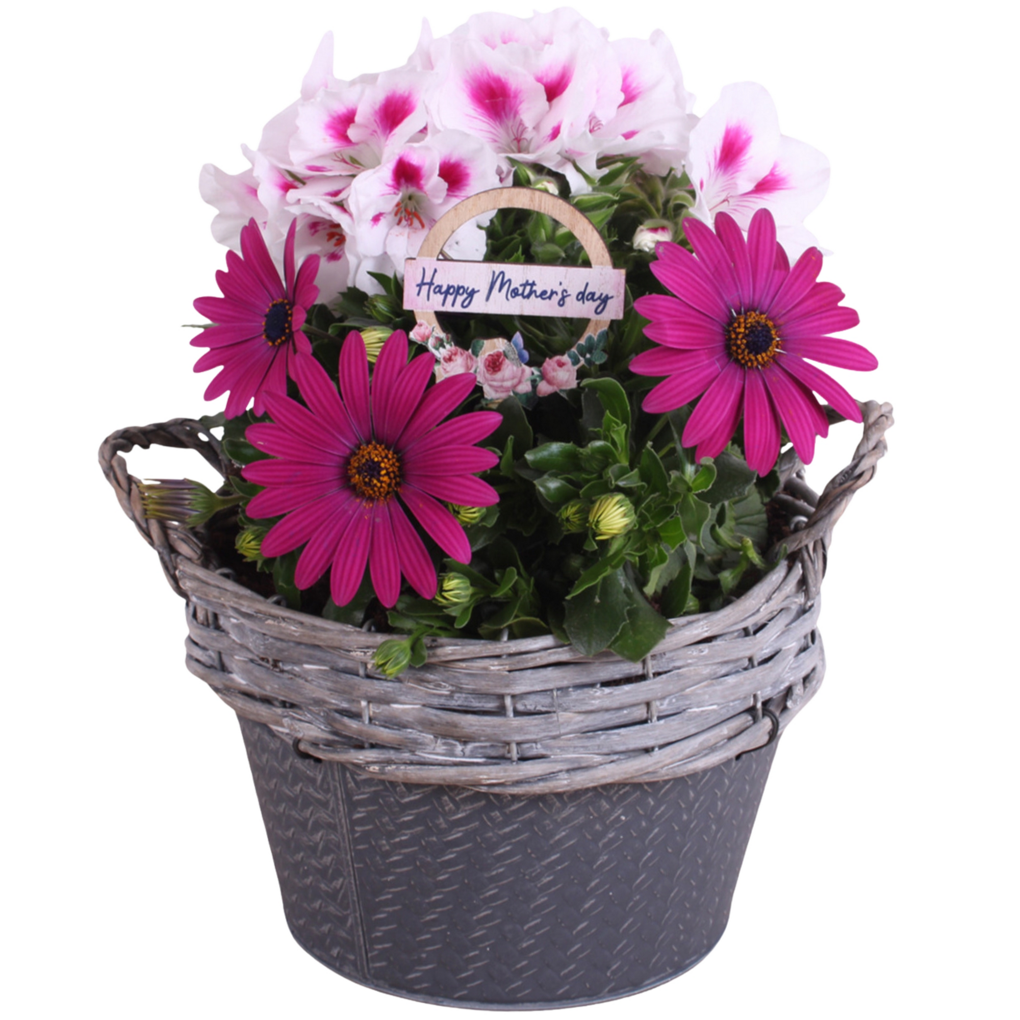 Zink-Topf bepflanzt 21 cm