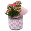 hauptbild