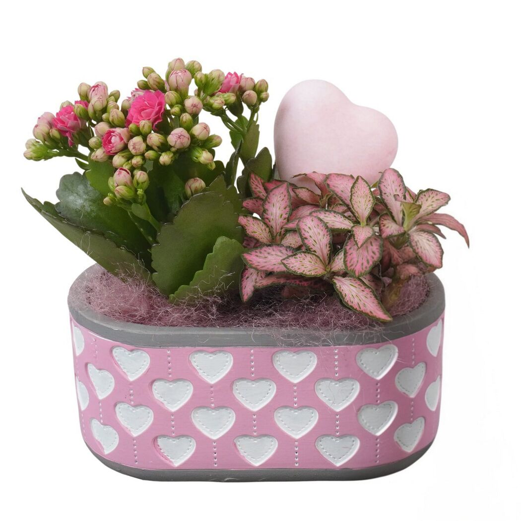 Herzchen-Jardiniere bepflanzt 14 cm