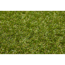 Rasenteppich 'Varel' grün 133 x 300 cm mit Drainage
