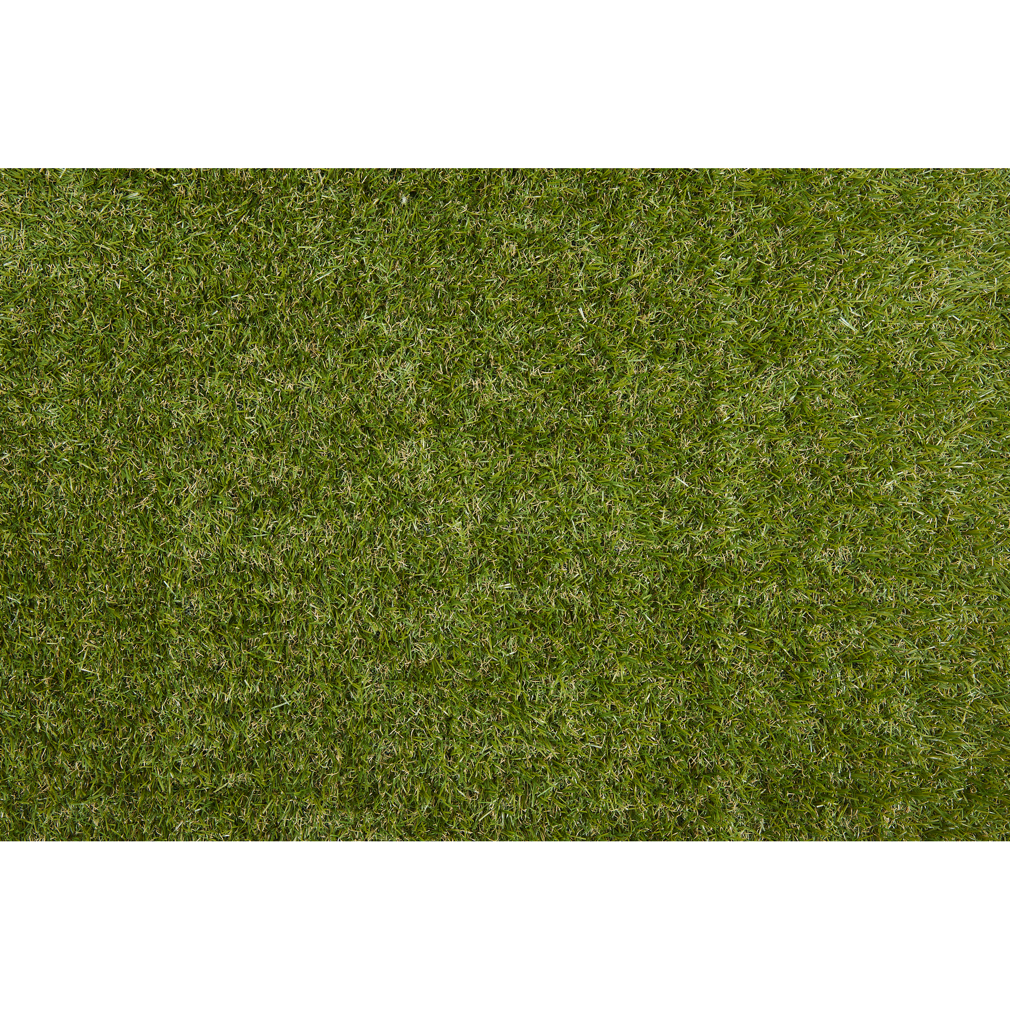 Rasenteppich 'Varel' grün 200 x 300 cm mit Drainage