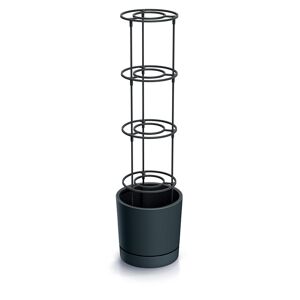 Tomatentopf grau Ø 29 cm mit Rankhilfe