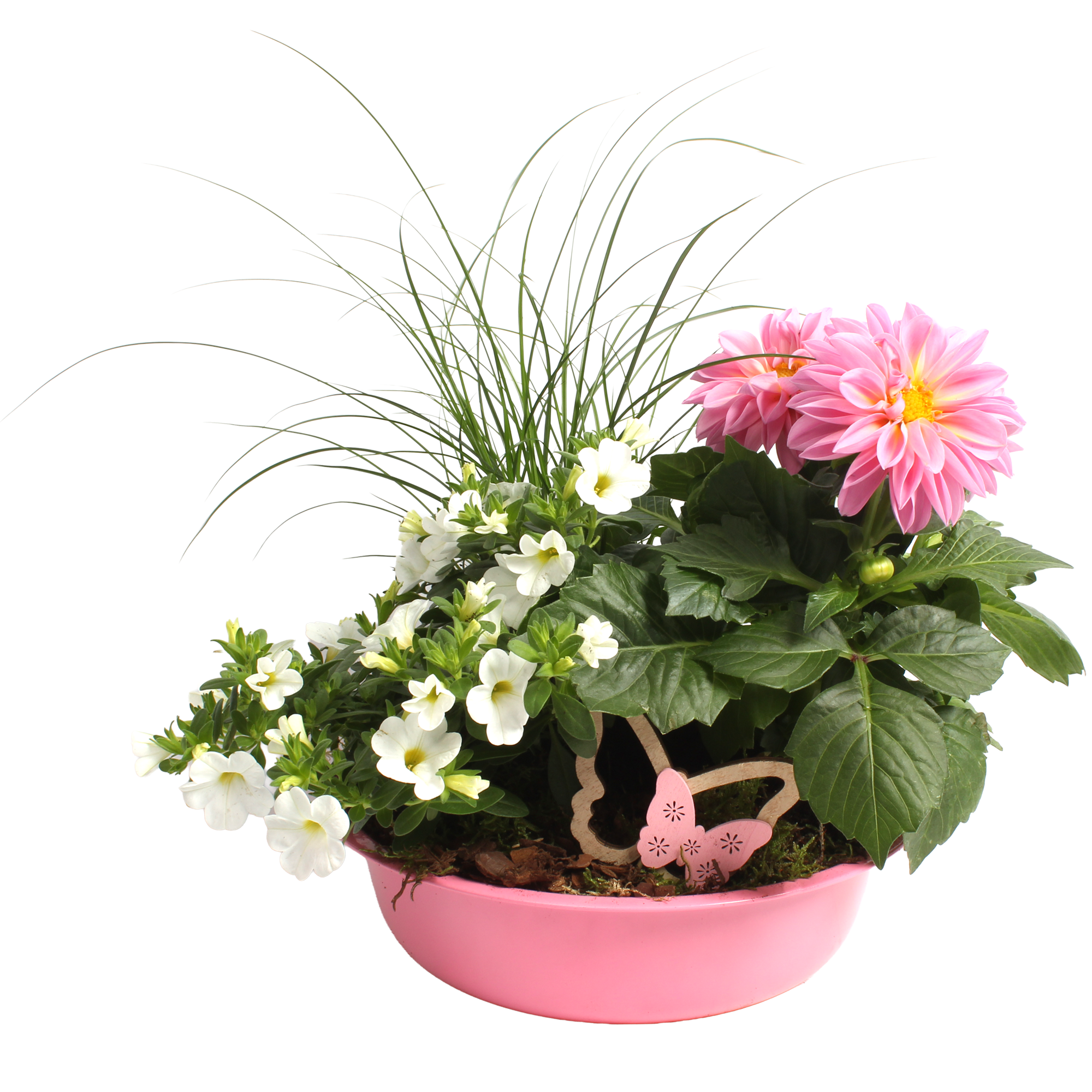 Zinkschale bepflanzt mit Sommerblumen 22 cm