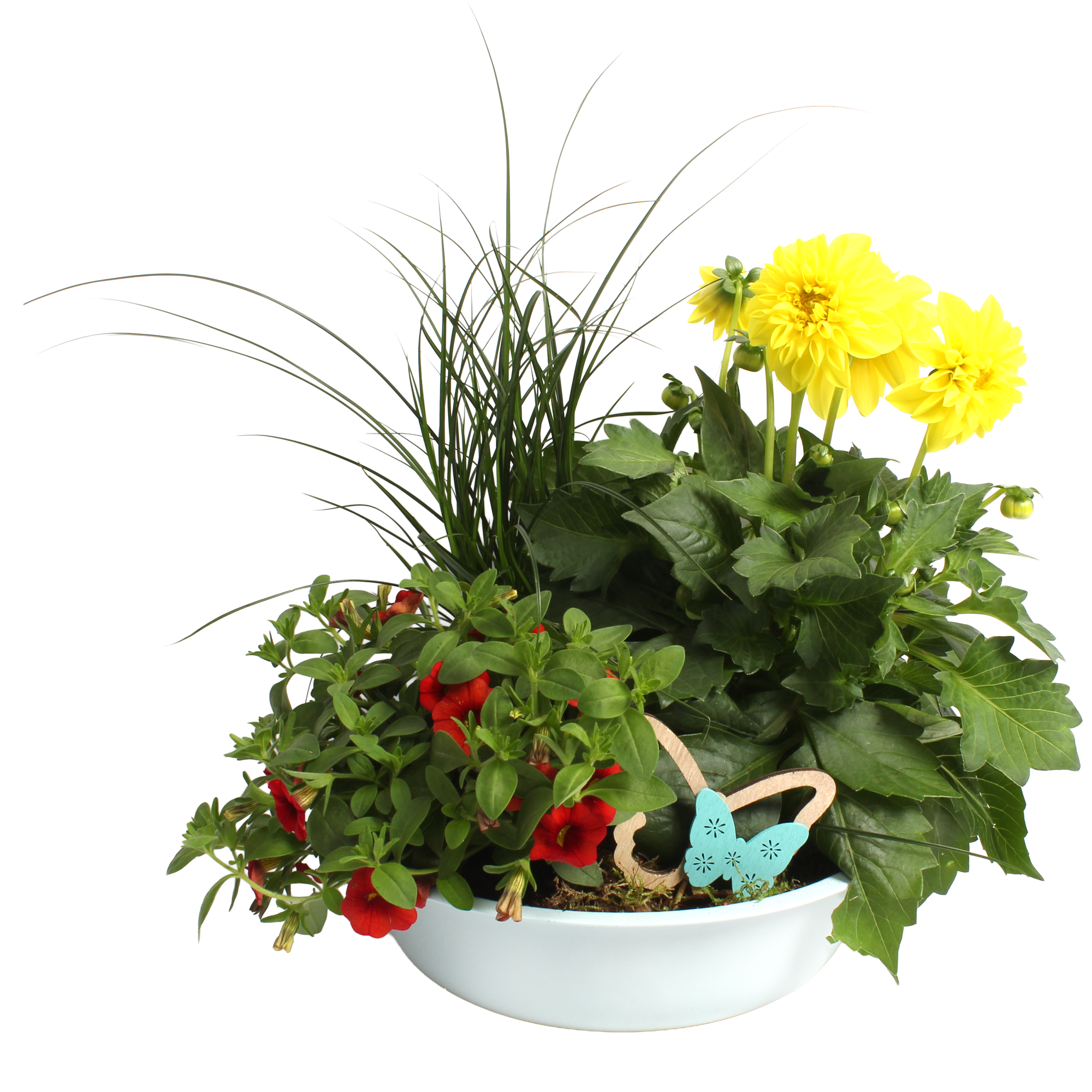 Zinkschale bepflanzt mit Sommerblumen 22 cm