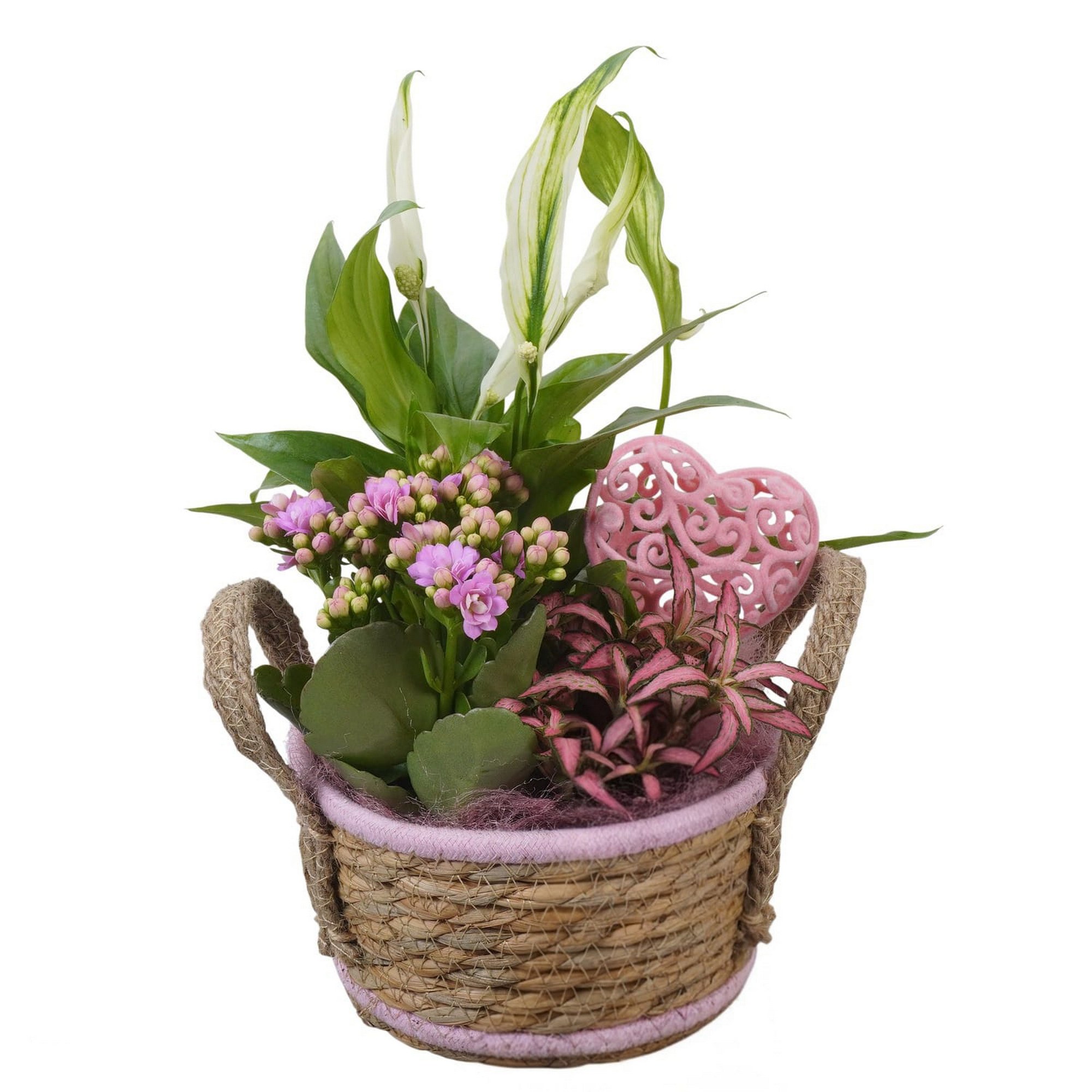 Seegraskorb bepflanzt 15 cm