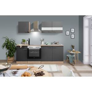 Küchenzeile 'Merle' mit E-Geräten KB210ESGC grau/eichfarben 210 cm