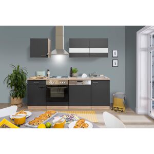 Küchenzeile 'Merle' mit E-Geräten KB220ESG grau/eichefarben 220 cm