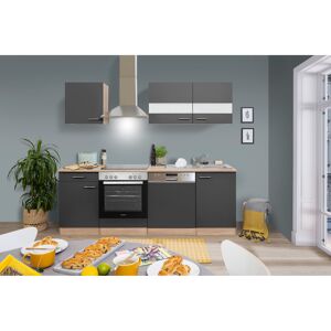 Küchenzeile 'Merle' mit E-Geräten KB220ESGC grau/eichefarben 220 cm